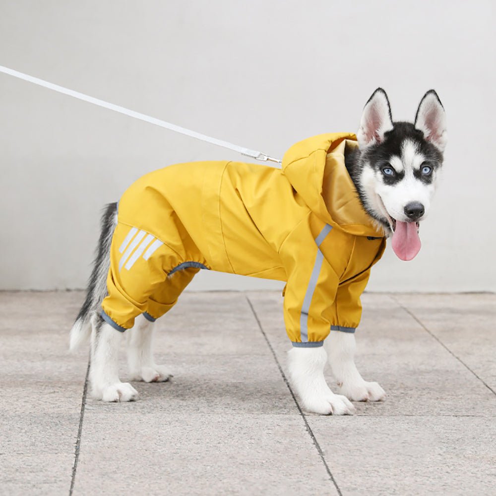 Zidora Regenjacke für Hunde: Extra breite Reflektorstreifen für Sicherheit bei Dunkelheit & Regen. Mit praktischer Kapuze.